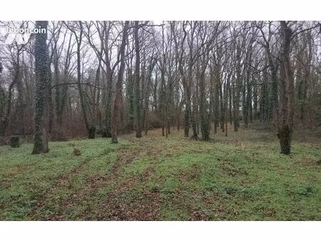 terrain 3438 m² juigne sur loire
