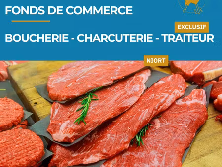 vente commerce 240 m² niort (79000)