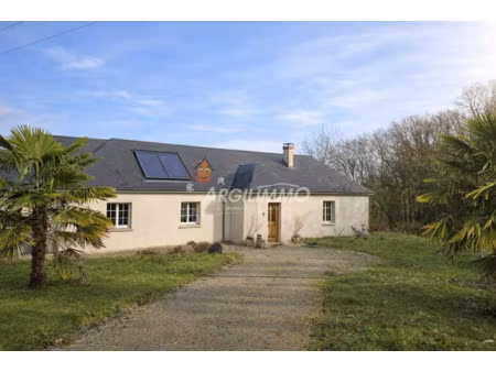 vente maison piscine à bessé-sur-braye (72310) : à vendre piscine / 185m² bessé-sur-braye