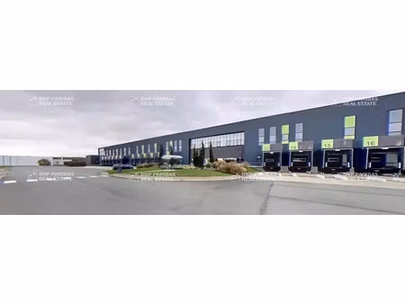location entrepôt logistique saint-léger-de-linières 49170