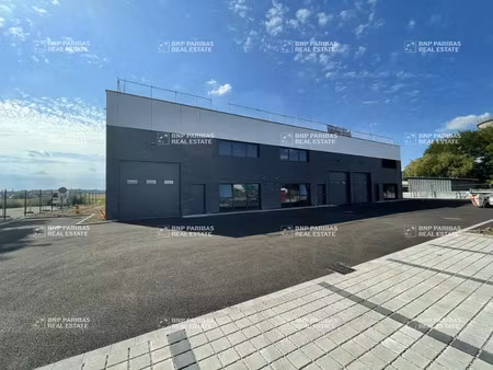 vente local d'activités souffelweyersheim 67460