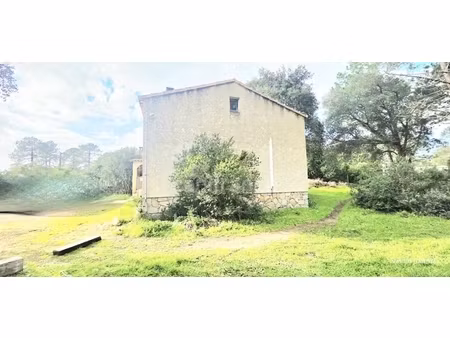 maison à vendre 3 pièces lecci (20) terrasse et jardin