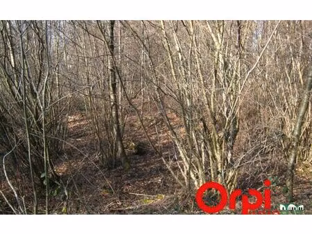 terrain bacouel-sur-selle m² t- à vendre  328 980 €