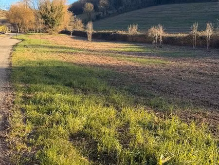 terrain à vendre castelnau-barbarens