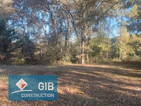 terrain 2 000 m² haux