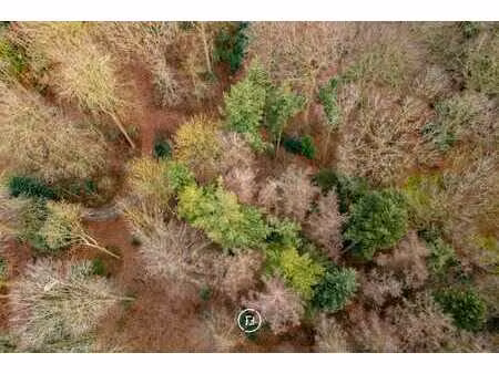 construire dans le vert