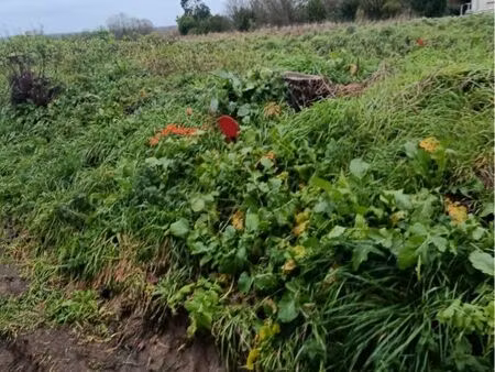 deux terrains à bâtir à lannebert