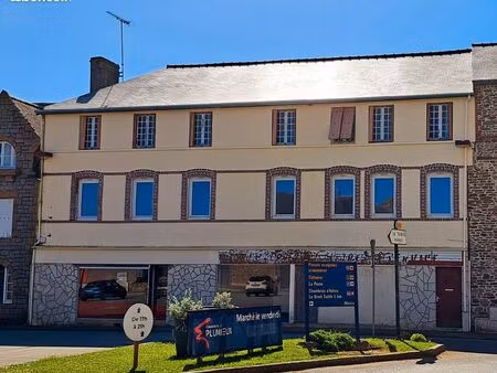 immeuble  toiture tout juste refaite à fort potentiel de 450m2+ 80m2 de dépendances +100m2