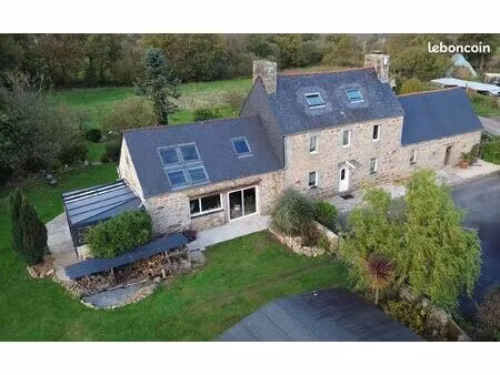 maison 167 m² pluzunet