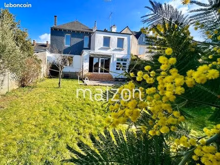 pierre  parquet  cheminées