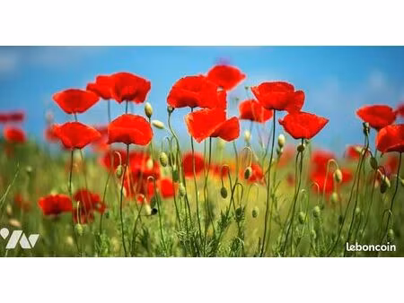 terrain 267 m² noves