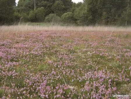 recherche lieu à transmettre – projet de vie écologique et solidaire