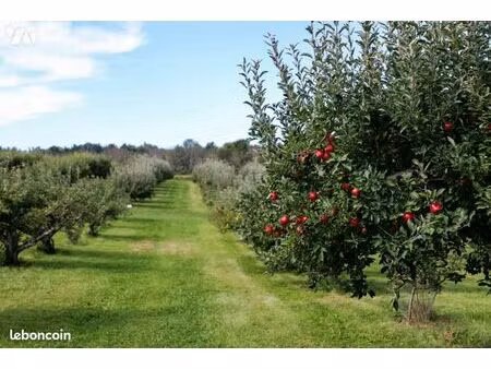 bien agricole 5200 m² st romphaire