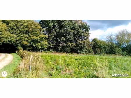 terrain constructible