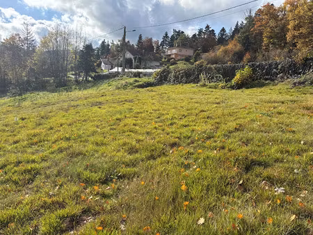 vente terrain 1015 m² à saint-amé (88120)  39 000 €