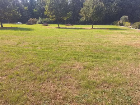 vente terrain 816 m² à saint-sardos (82600)  57 000 €