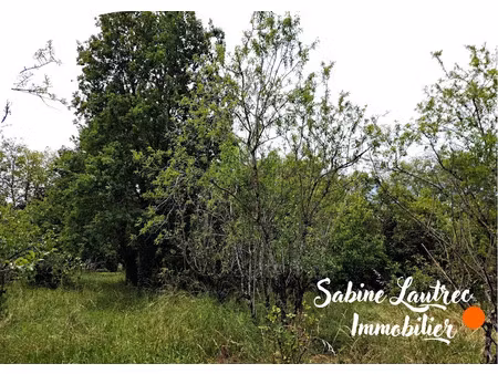 vente terrain à vénès (81440)  57 000 €