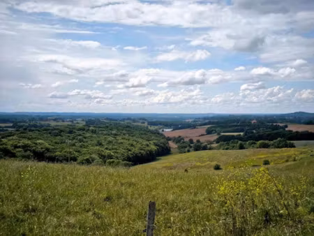 vente terrain à batir 6000 m² à aignan (32290)  67 000 €