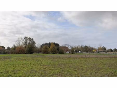vente terrain 600 m² à noe (31410)  65 000 €