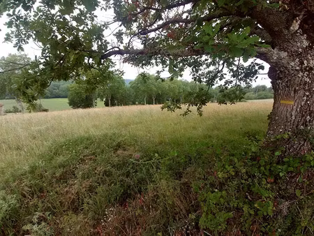 vente terrain 8535 m² à verfeil sur seye (82330)  49 000 €