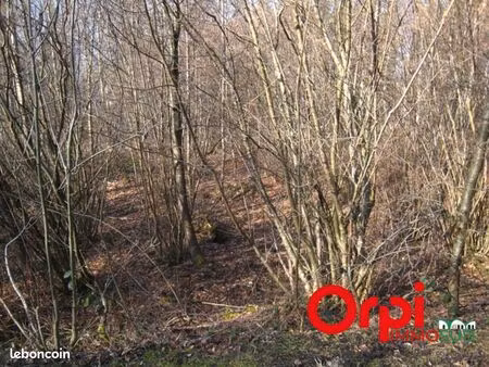 terrain bacouel sur selle