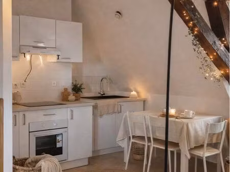 à louer magnifique t2 meublé centre ville montargis