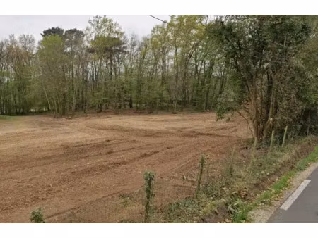 vente terrain 2800 m² à bonnetan (33370)  228 000 €