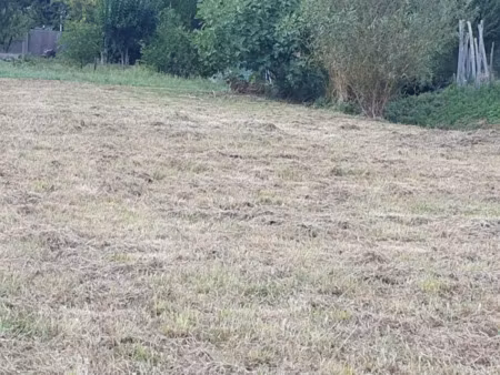 vente terrain 1200 m² à saint-romain-la-virvée (33240)  87 000 €