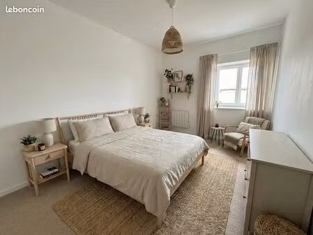 appartement t3 bis  55 m² hyper-centre  rénové