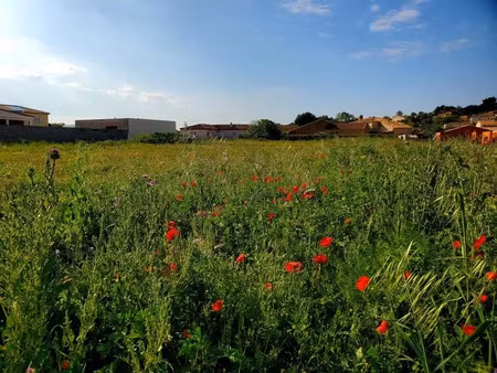 vente terrain 501 m² à lespignan (34710)  111 300 €