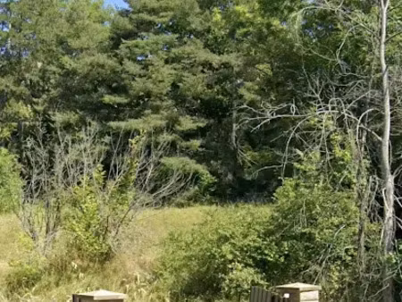 vente terrain 717 m² à saint-sauveur (05200)  125 000 €