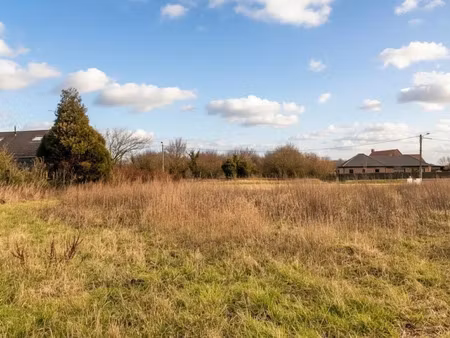 vente terrain à batir 597 m² à bersée (59235)  144 000 €