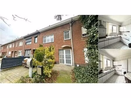 duplex à louer à dokter emiel van dammestraat 16 hoboken (rbv10457)