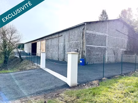 vente locaux professionnels 675 m² à castillonnès (47330)  105 000 €