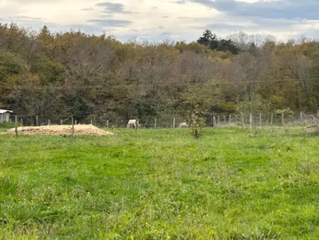 vente terrain 900 m² à loupes (33370)  215 000 €