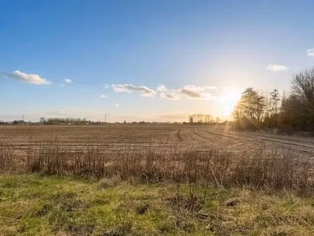 vente terrain à batir 1137 m² à bersée (59235)  242 000 €