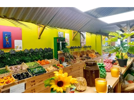 vente locaux professionnels 194 m² à biganos (33380)  169 000 €