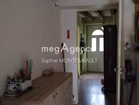 sophie montembault consultant megagence