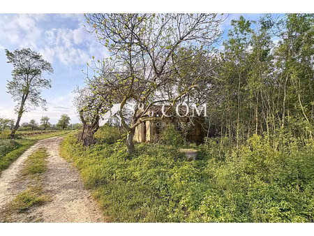 terrain agricole et de loisirs de 4 558 m² -cadre boisé  puits  cabanon en dur cadastré de