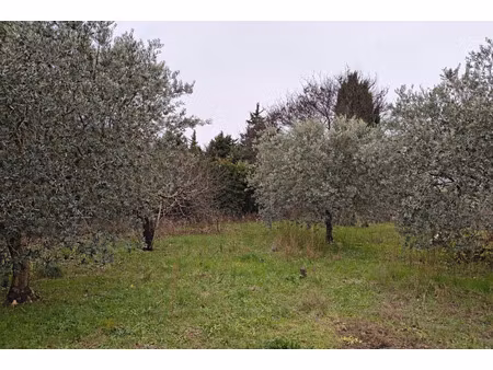 vente terrain à construire 507 m² carpentras (84200)
