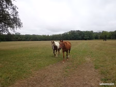 loue terrain agricole