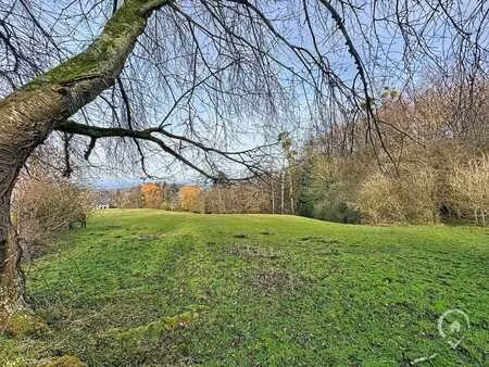 superbe terrain agricole de 95 ares 90 centiares