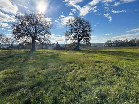 vente terrain à rezé (44400) : à vendre / 500m² rezé