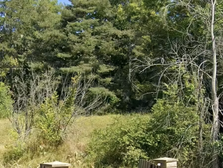 vente terrain 717 m²