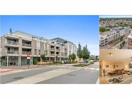 penthouse à louer à dokter haubenlaan 15 maasmechelen (rbv10563)