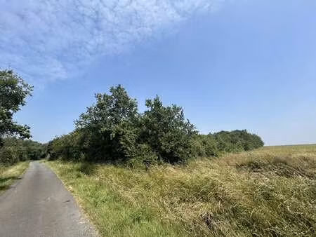 vente terrain à l'île-d'olonne (85340) : à vendre / l'île-d'olonne