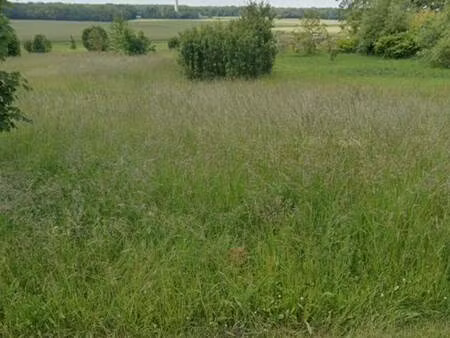 terrain constructible à vendre