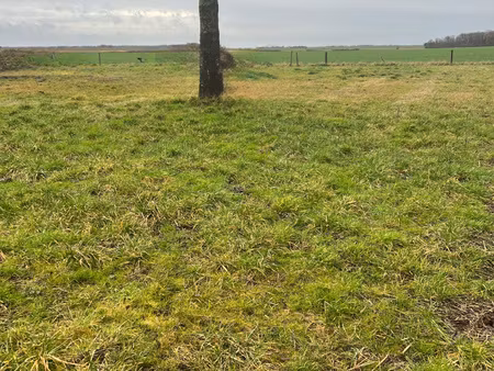 sonchamp 10 mn rambouillet terrain a batir