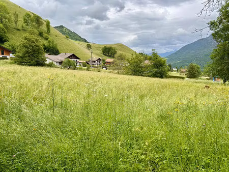 beau terrain à bâtir de 1800m² à vailly proche école