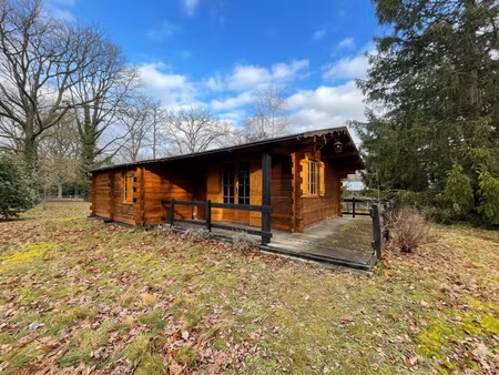 chalet nogent sur vernisson 39 m2